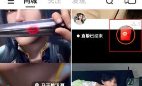 红利小本项目，潜力与策略的***结合