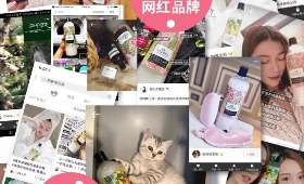 家庭主妇如何巧妙利用自身优势实现经济独立? 家庭主妇如何巧妙利用自身优势实现经济独立?